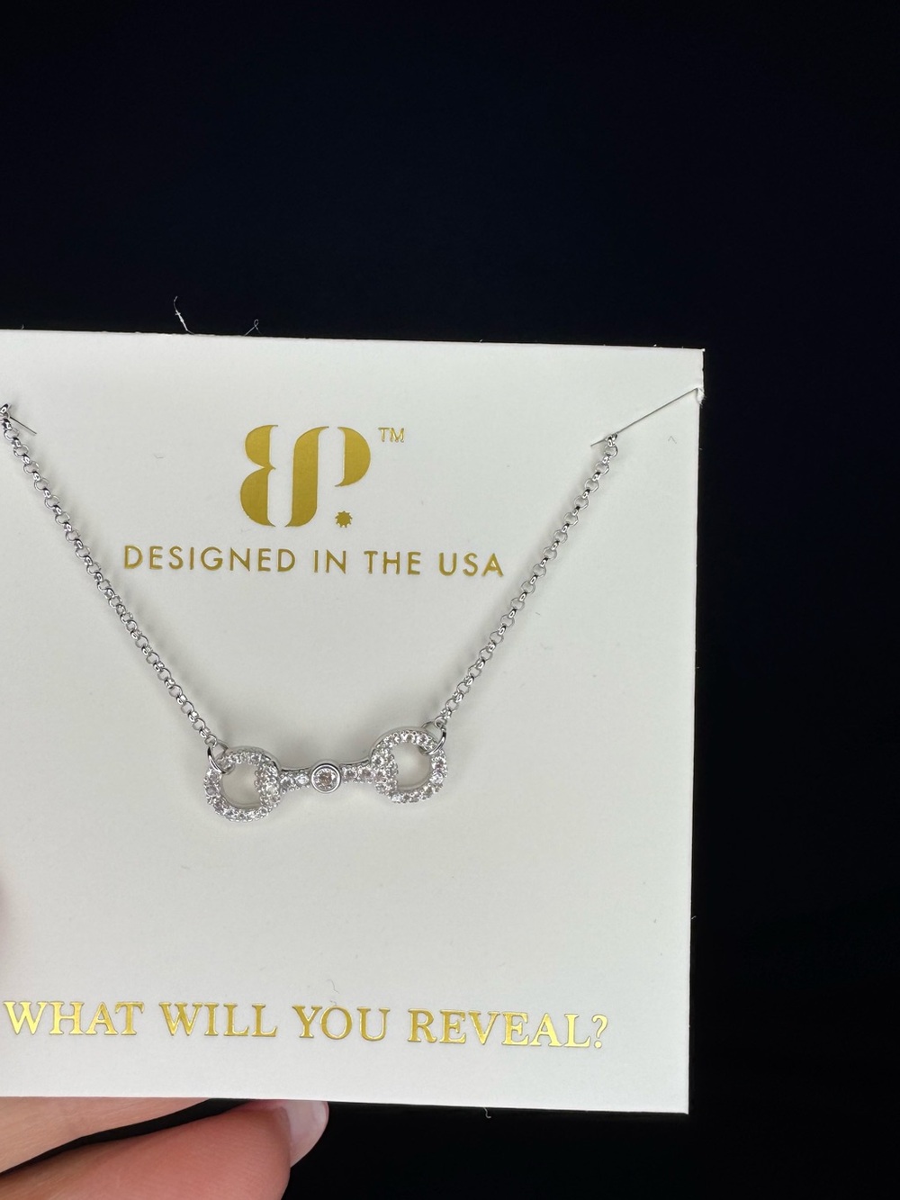 2 HOUR SALE 💕 Sterling Club Bomb Party Necklace